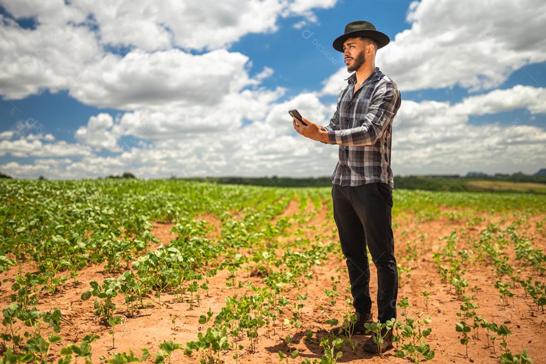 Agricultor latino-americano trabalhando na plantação de soja, examinando o desenvolvimento da cultura no smartphone