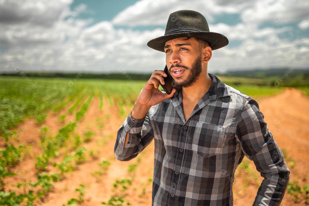Agricultor latino-americano trabalhando na plantação de soja, examinando o desenvolvimento da cultura no smartphone