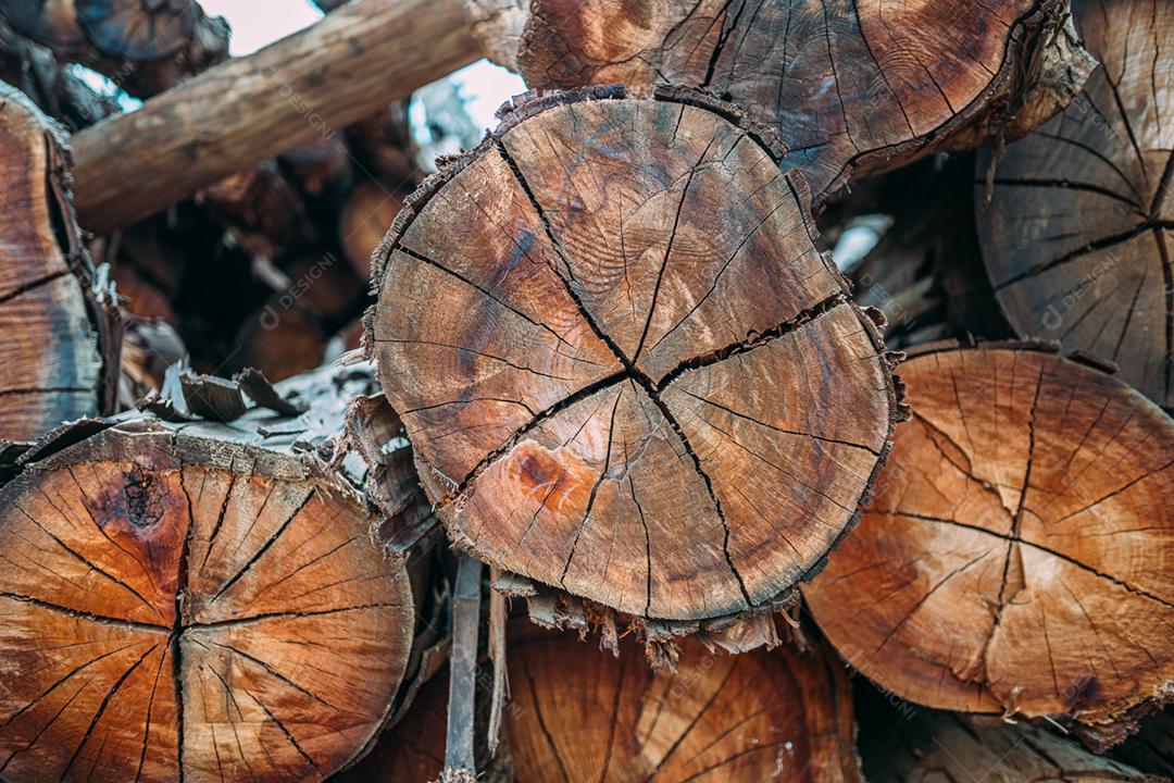 Parede de toras de madeira empilhadas para segundo plano. Fundo de madeira natural. Closeup de lenha picada