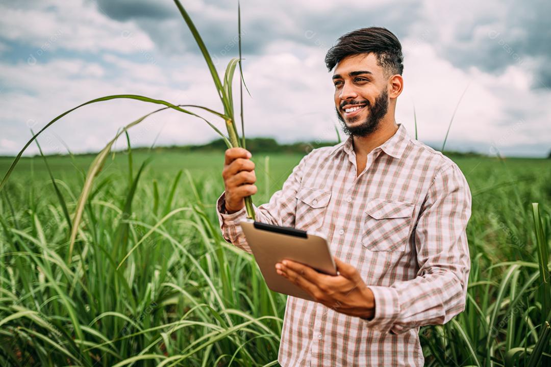 Jovem agricultor latino trabalhando com tablet digital na plantação de cana-de-açúcar. agricultor brasileiro.