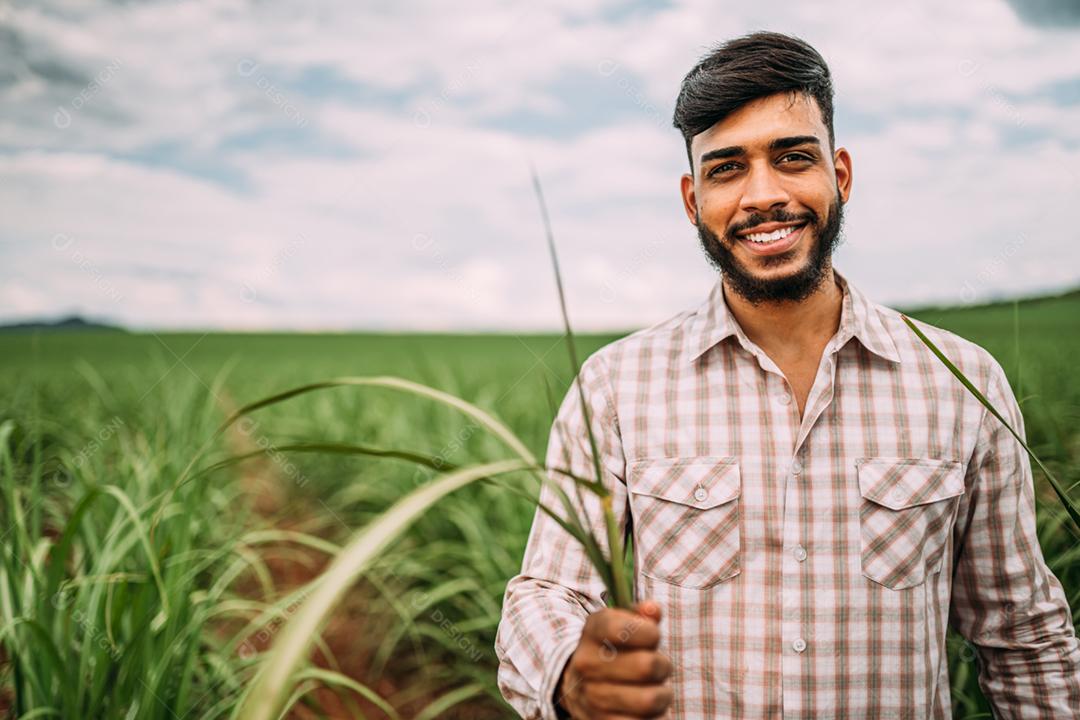 Jovem agricultor latino trabalhando com tablet digital na plantação de cana-de-açúcar. agricultor brasileiro.