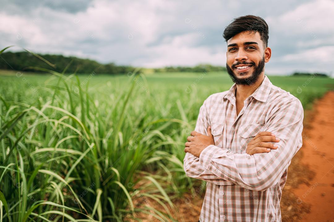 Jovem agricultor latino trabalhando com tablet digital na plantação de cana-de-açúcar. agricultor brasileiro.