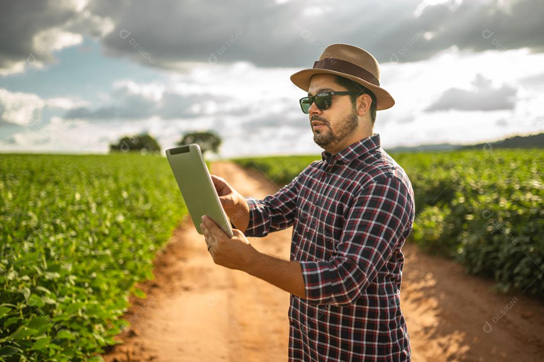 Agricultor latino-americano trabalhando na plantação de soja, examinando o desenvolvimento da cultura no tablet