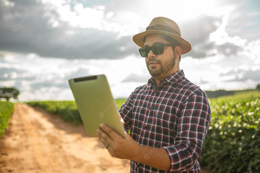 Agricultor latino-americano trabalhando na plantação de soja, examinando o desenvolvimento da cultura no tablet