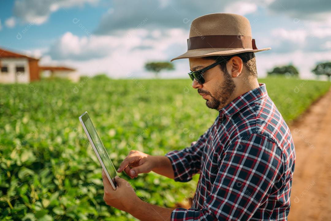 Agricultor latino-americano trabalhando na plantação de soja, examinando o desenvolvimento da cultura no tablet