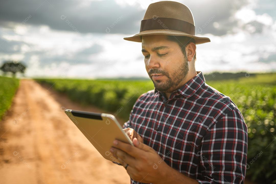 Agricultor latino-americano trabalhando na plantação de soja, examinando o desenvolvimento da cultura no tablet