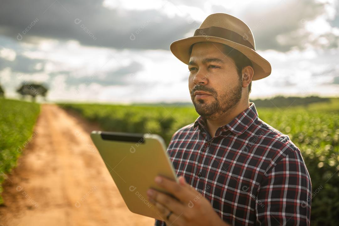 Agricultor latino-americano trabalhando na plantação de soja, examinando o desenvolvimento da cultura no tablet