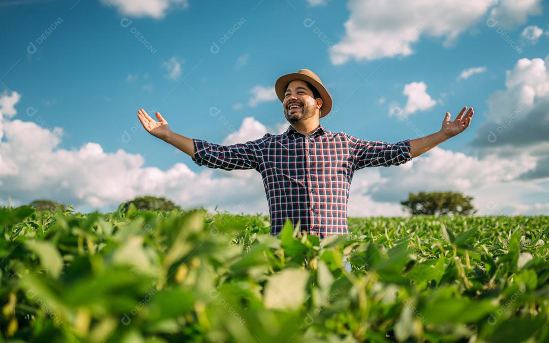 Agricultor agradecendo pela colheita ou chuva. Plantação de soja. fazenda brasileira.