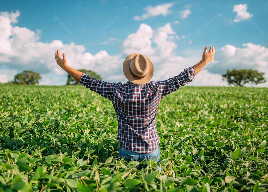 Homem de costas para o espectador em um campo de soja. Agricultor agradecendo pela colheita ou chuva.