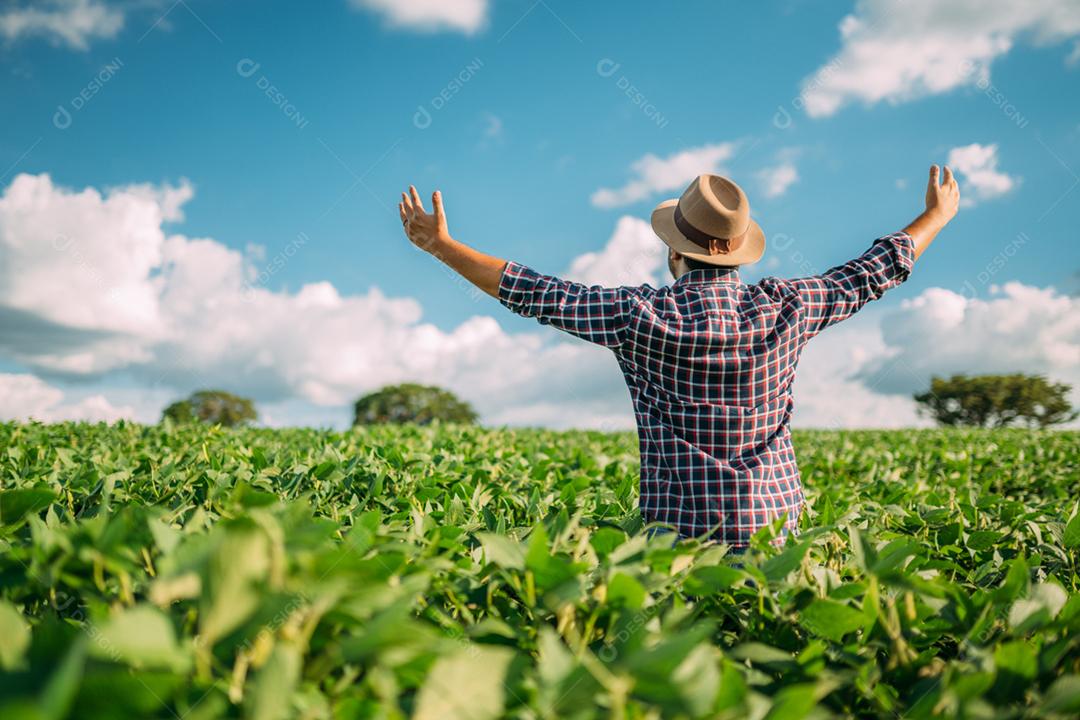 Homem de costas para o espectador em um campo de soja. Agricultor agradecendo pela colheita ou chuva.