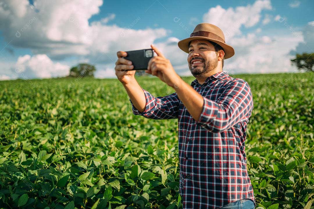 Agricultor tirando fotos da plantação de soja. Controle de qualidade. Trabalho do agrônomo. Fazenda Brasileira.