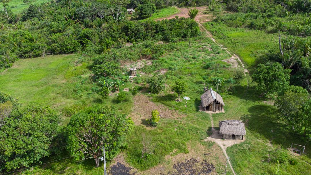 Vista aérea de oco típico indígena. Muito comum na floresta amazônica. A estrutura oca é composta de galhos