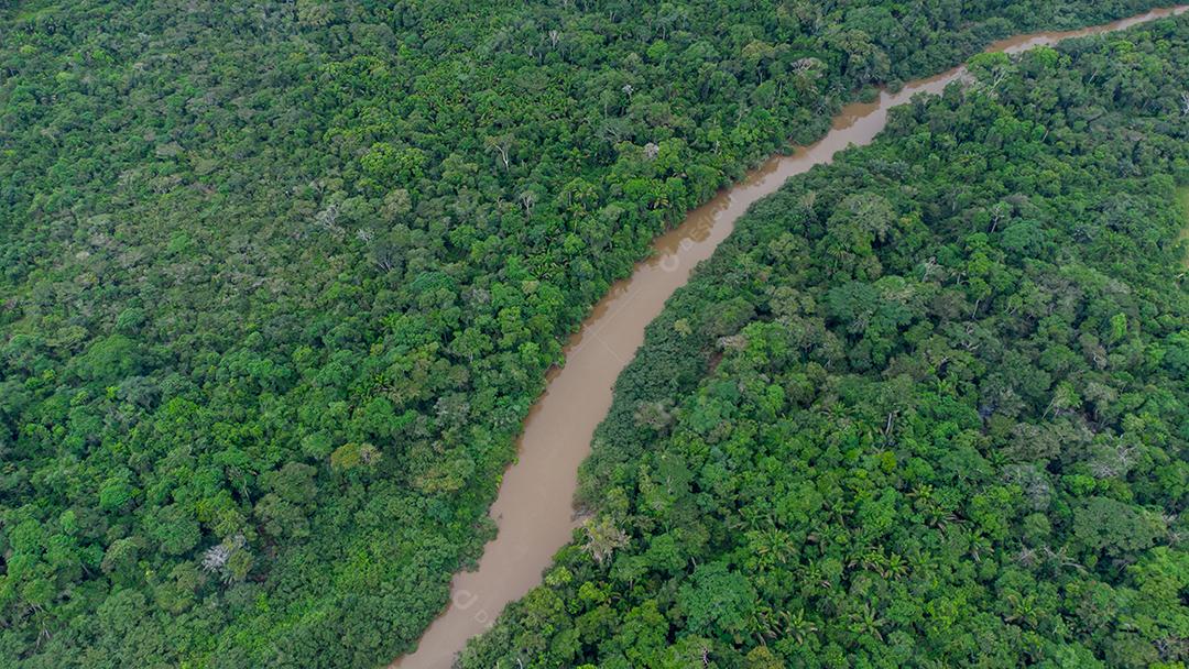 Vista aérea da floresta amazônica no Brasil, América do Sul. Verde