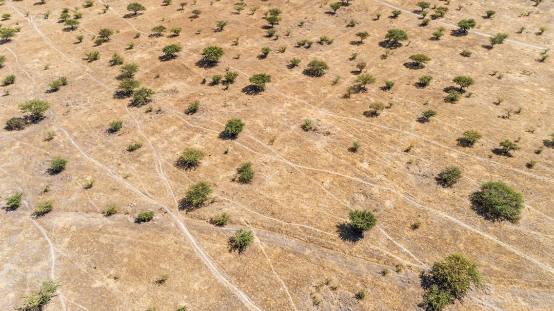 Paisagem do deserto. Vista aérea.