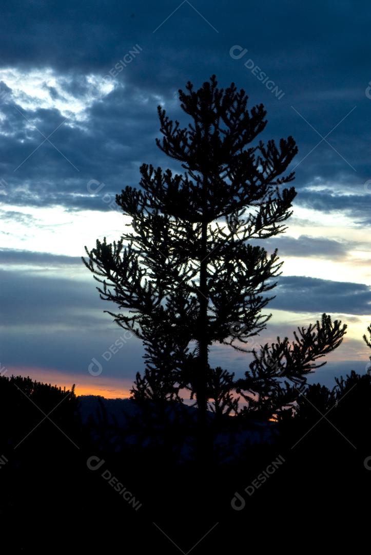 Paisagem sobre floresta por do sol céu nublado