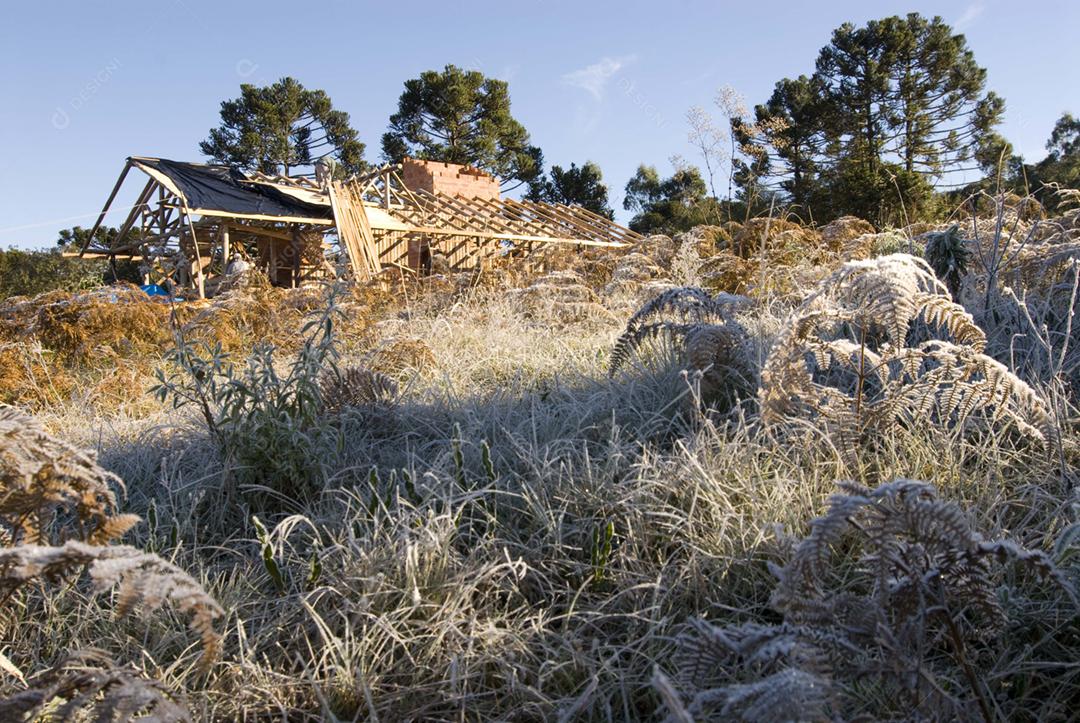 Casa sendo costruida sobre floresta céu azul