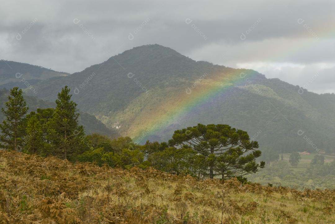 Paisagem floresta sobre arco íris montanhas penhasco sobre céu nublado