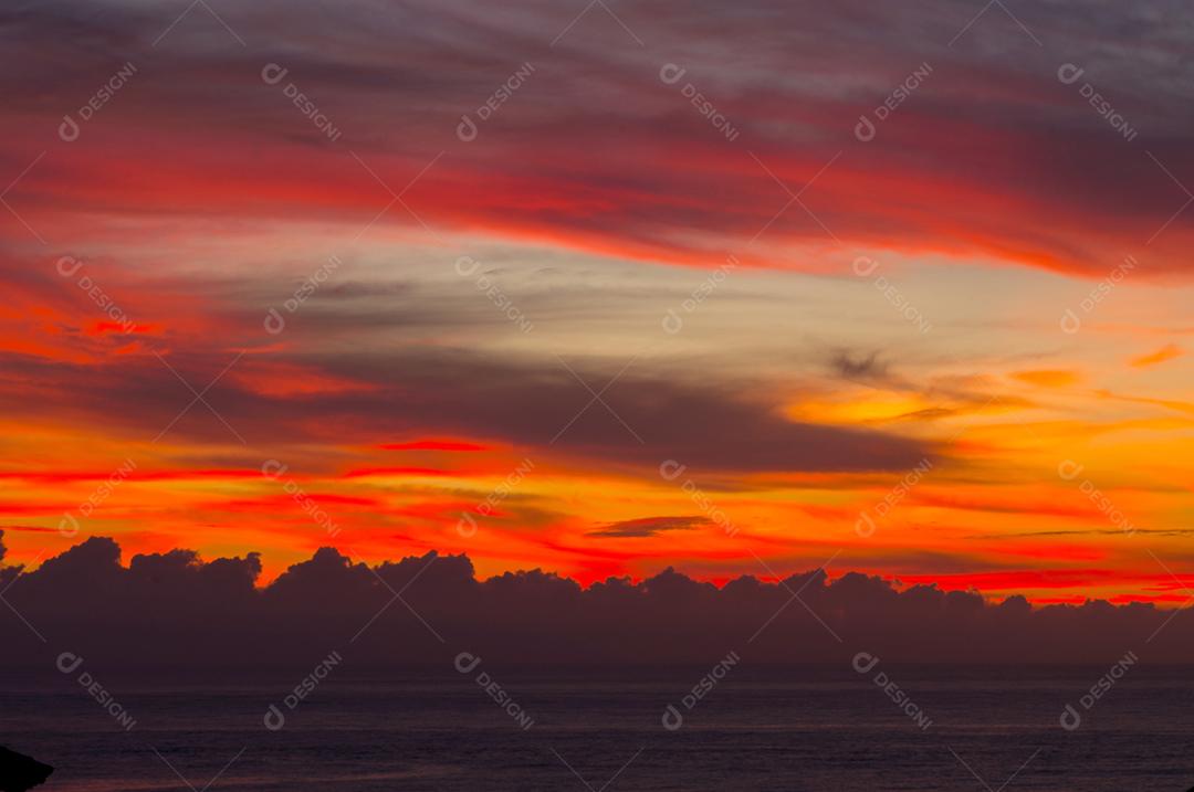 Paisagem floresta por do sol céu nublado