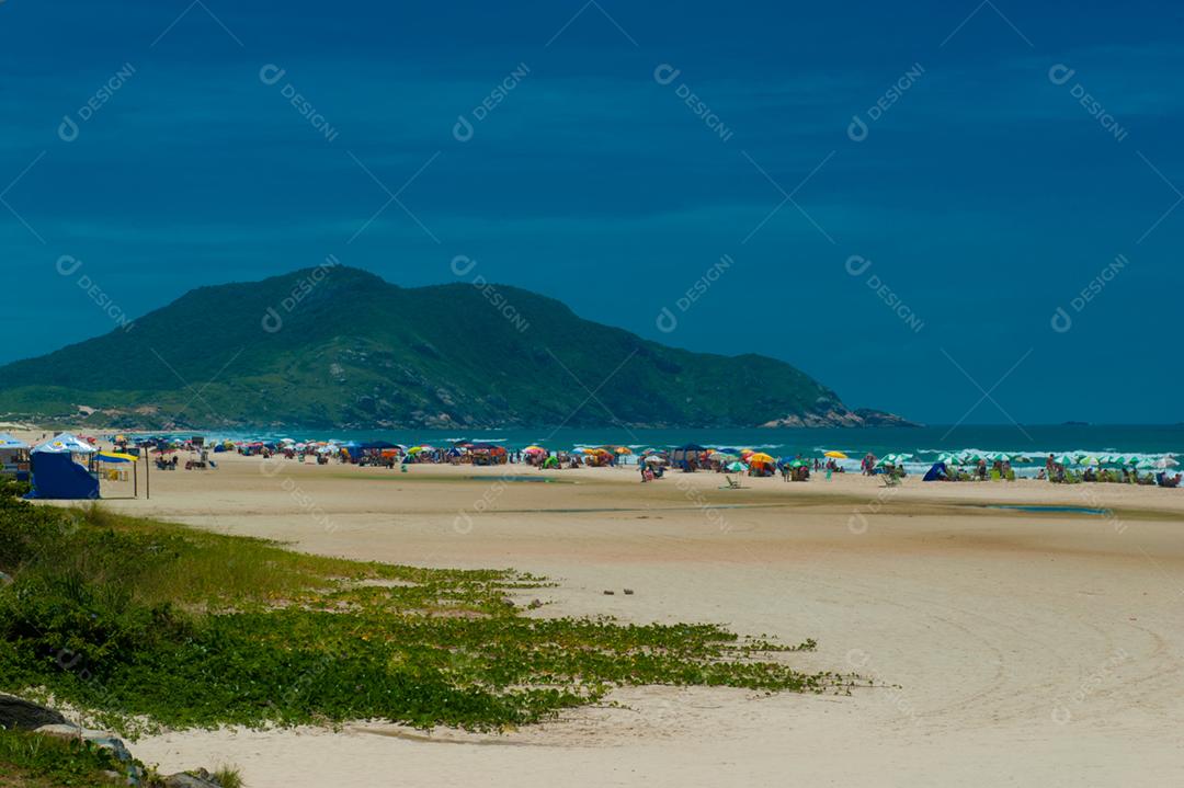 Praia pessoa curtindo verao mar areia pessoas