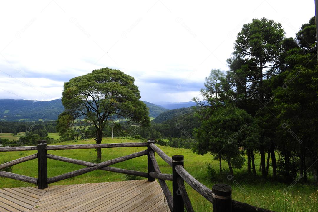 Varanda de frente para uma floresta campo arvore céu nublado