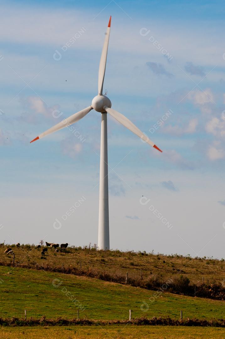 Parque eólico projeto industria sobre campo céu azul
