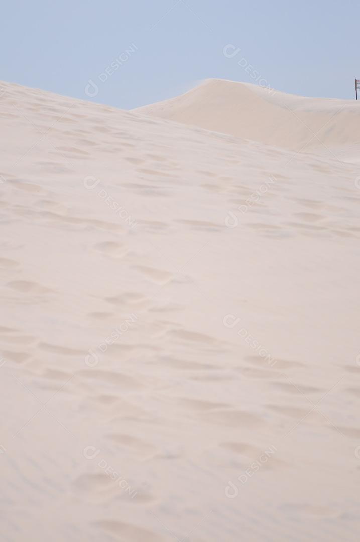 deserto coberto por areia varrida pelo vento com pouca ou nenhuma cobertura vegetal.