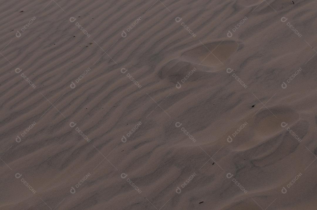 Pegadas na areia praia pes pessoas