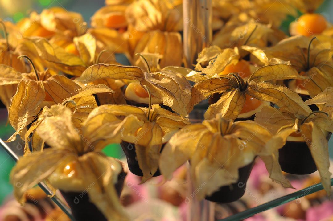 Plantas flores flor amarelas