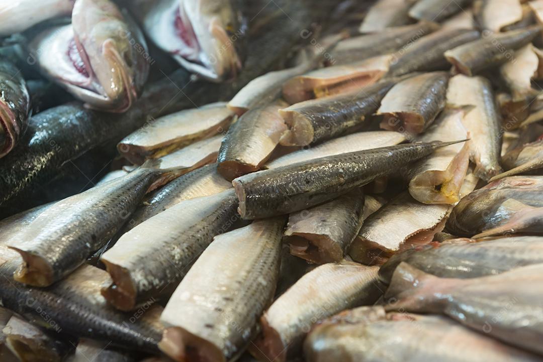 Comida peixes frescos pescarias mar