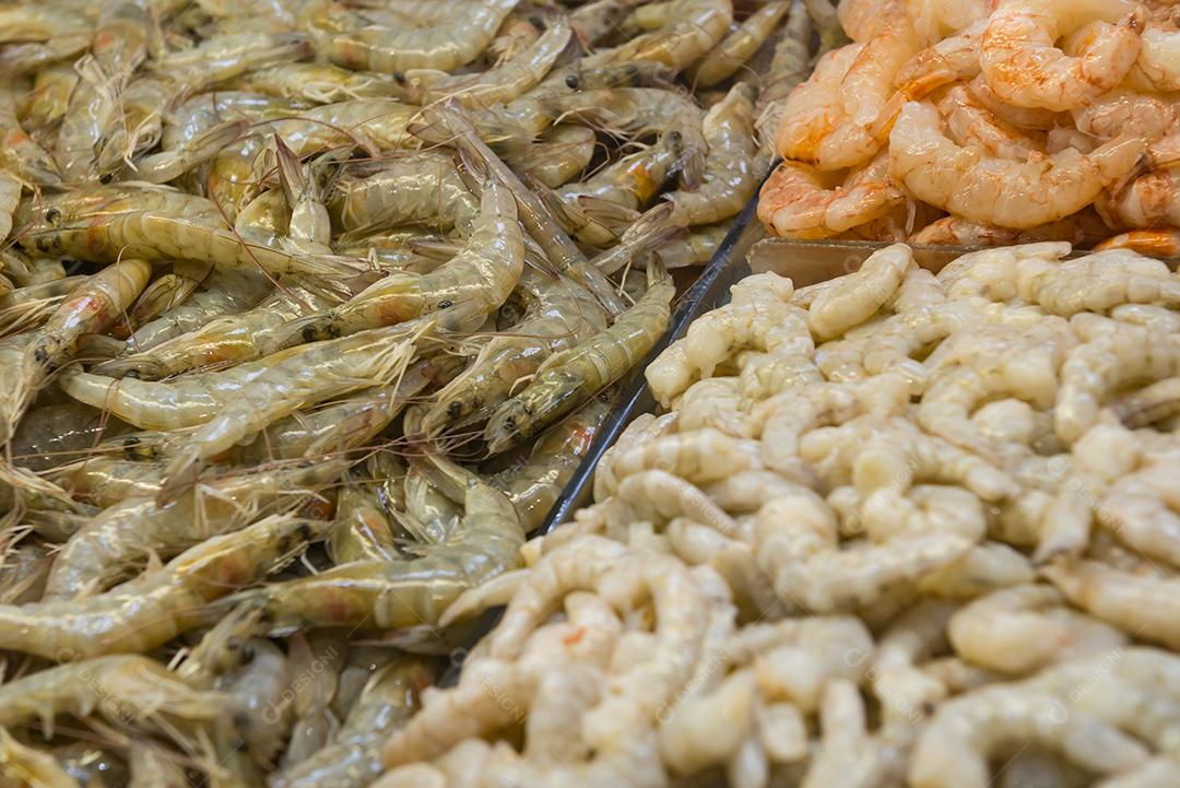 grupo de variedades de camarão. Pano de fundo alimentar. Submarino