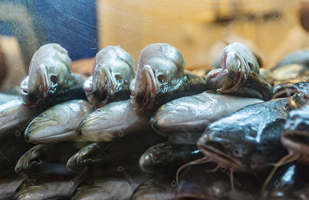 Peixes frescos á venda em comercio. Supermercado.