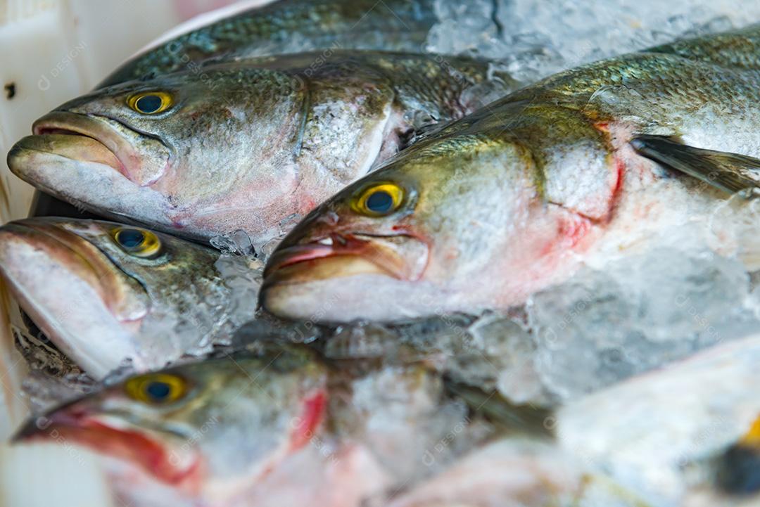 Peixe congelado á venda em Super mercado. Peixe em uma bandeja com gelo.