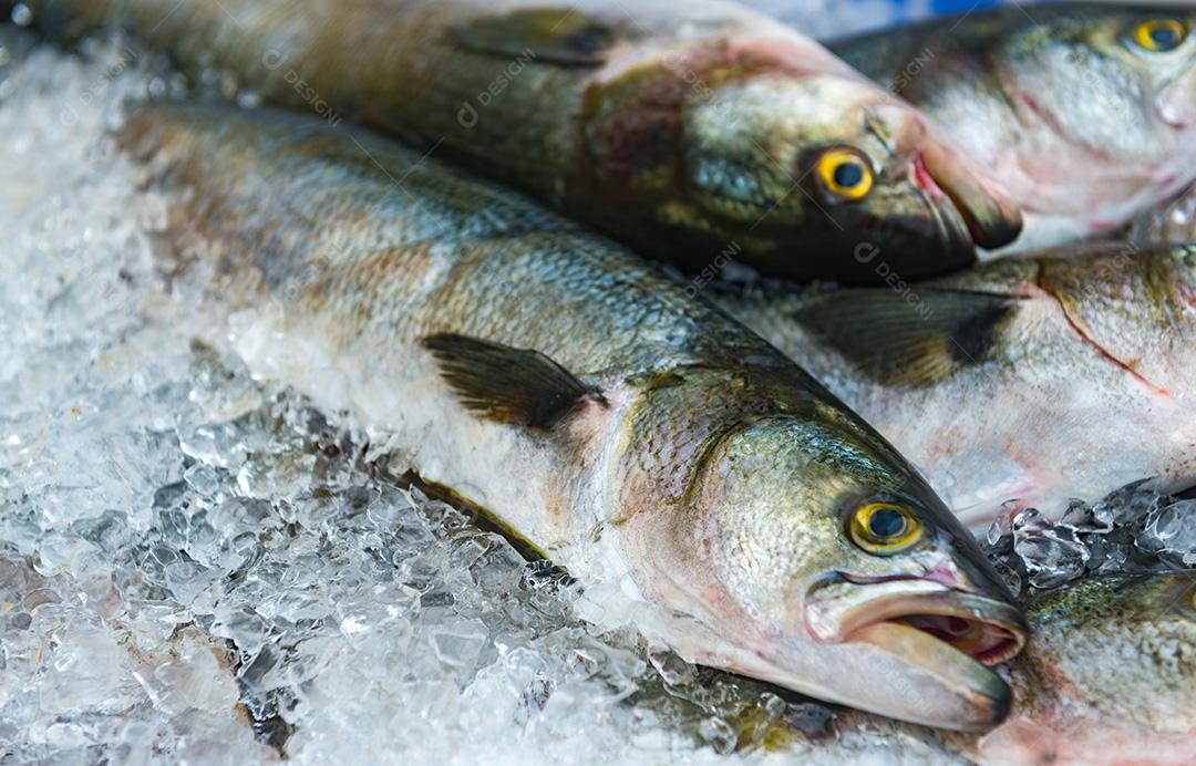 Peixe congelado á venda em Super mercado. Peixe em uma bandeja com gelo.