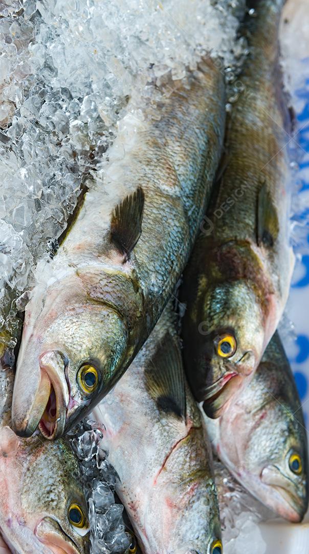 Peixe congelado á venda em Super mercado. Peixe em uma bandeja com gelo.