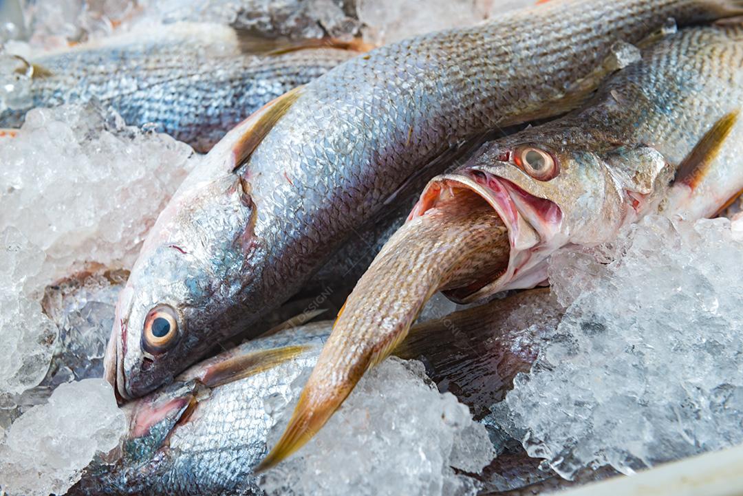 Peixe congelado á venda em Super mercado. Peixe em uma bandeja com gelo.