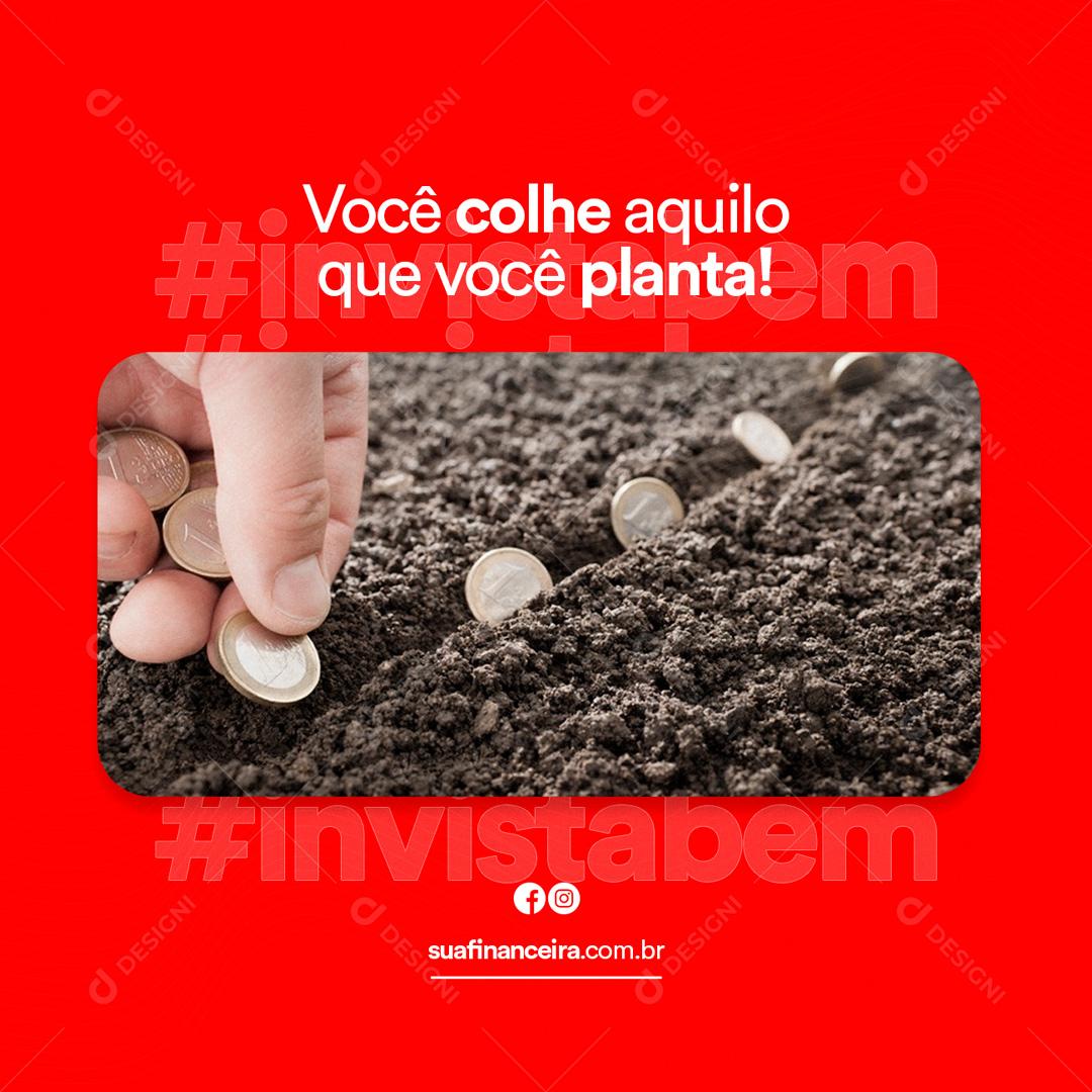 Social Media Você Colhe Aquilo Que Você Planta Investimento PSD Editável