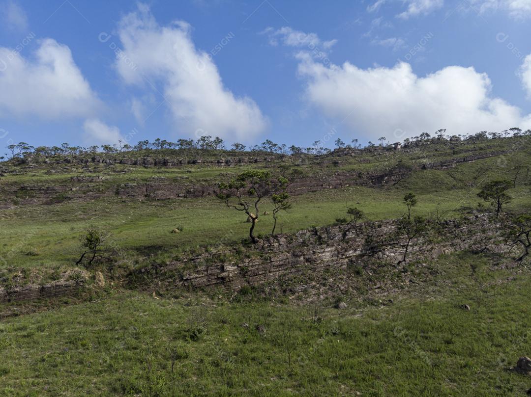 Vista aerea de uma fazenda matos floresta