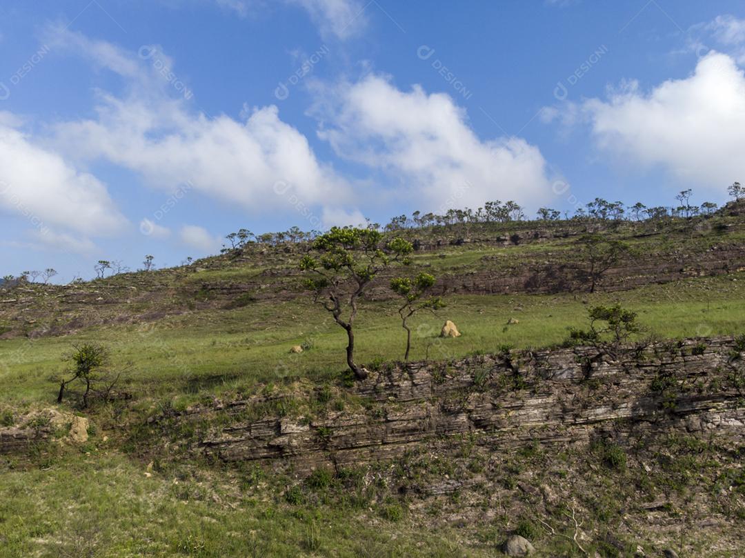 Vista aerea de uma fazenda matos floresta