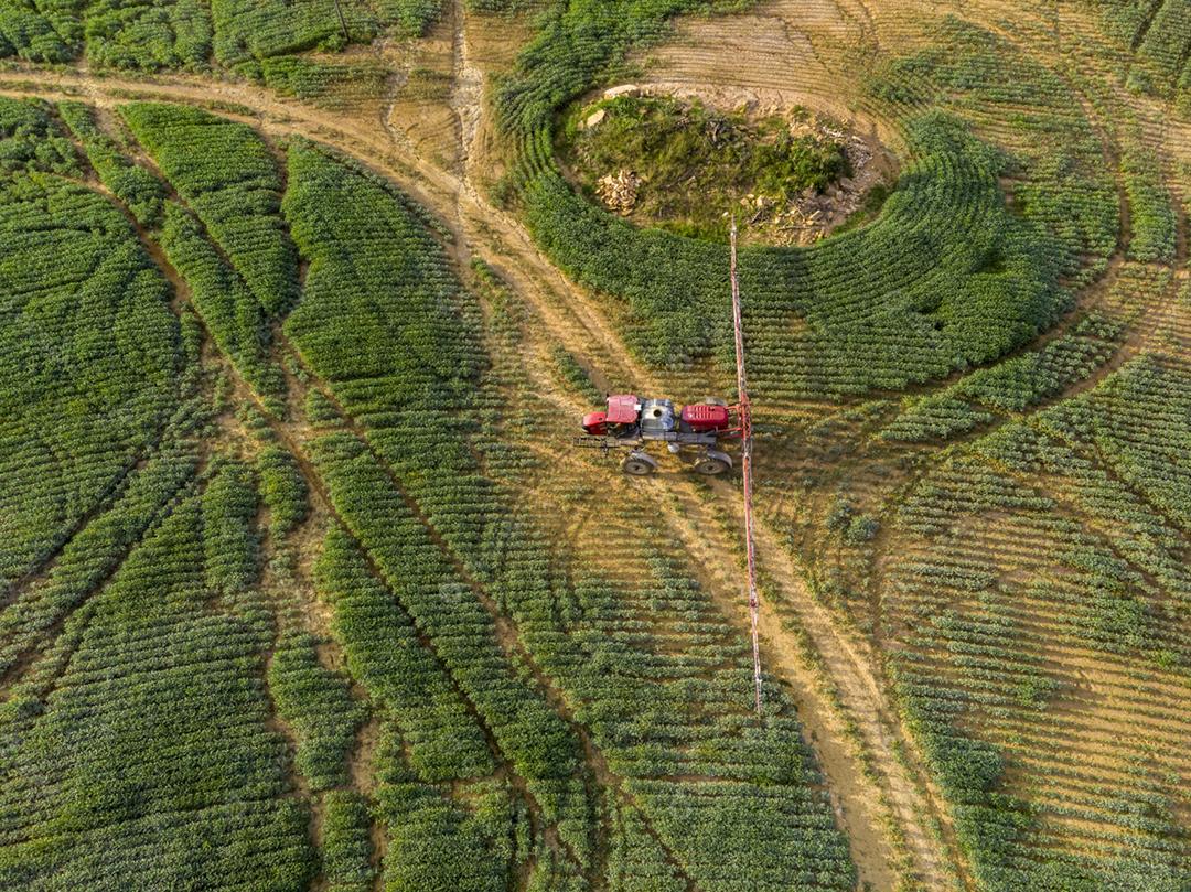 Vista aerea de uma fazenda matos floresta