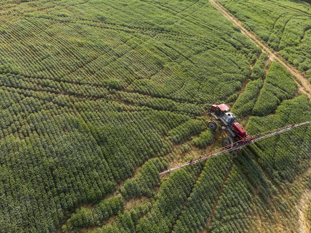 Vista aerea de uma fazenda matos floresta