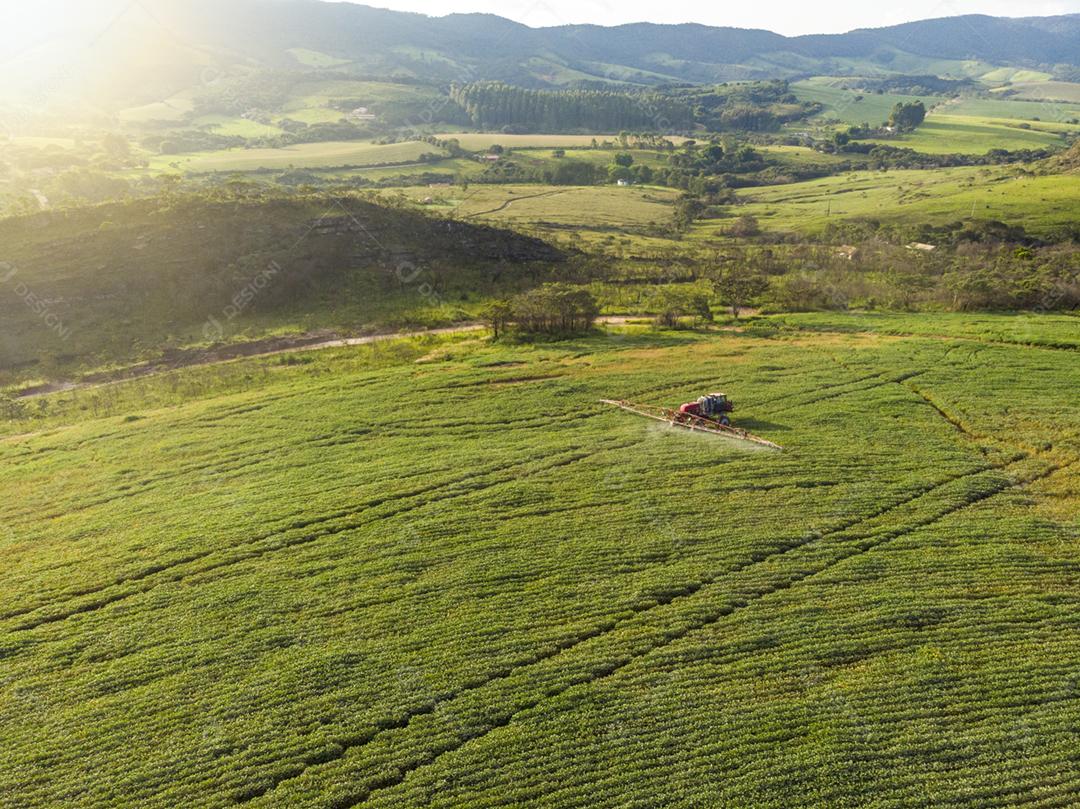 Vista aerea de uma fazenda matos floresta