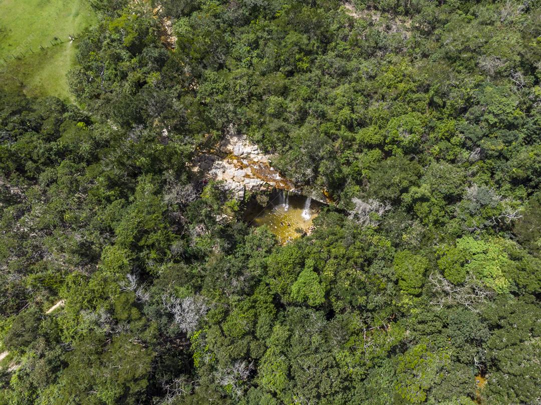 Paisagem Cachoeira lago floresta