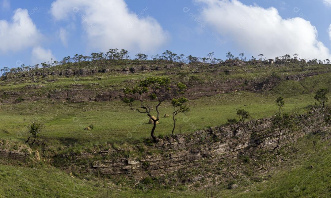 Paisagem vista aerea fazenda floresta céu nublado