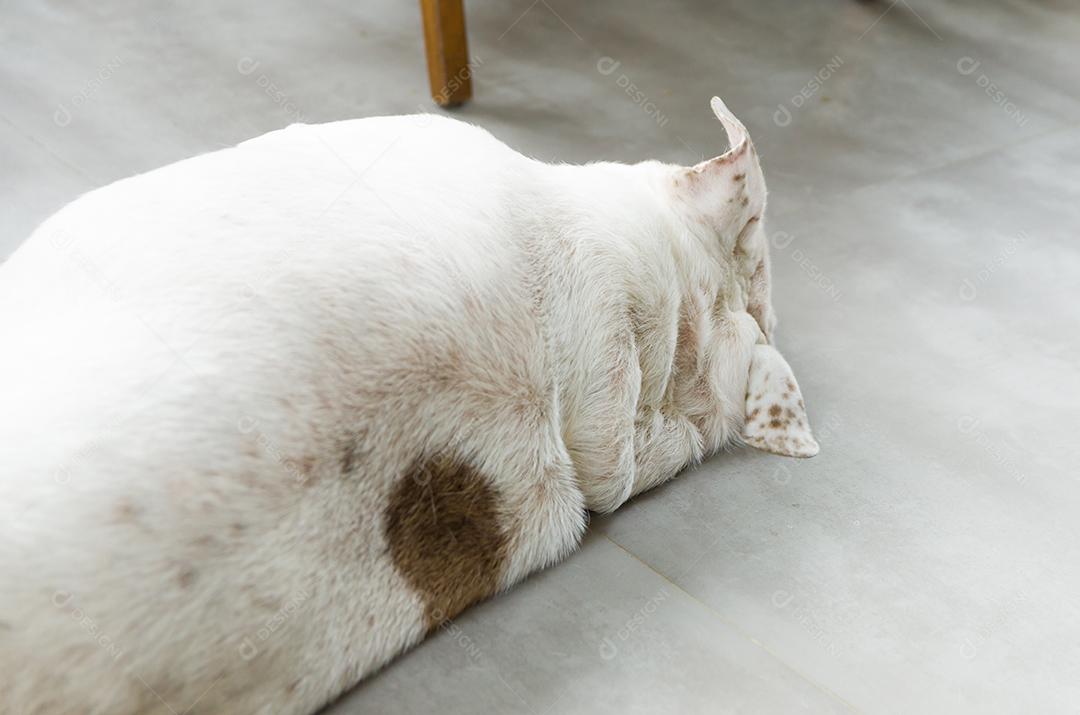 tecido, duplo, vazio, algodão, roupa de cama, estilo de vida, amassado