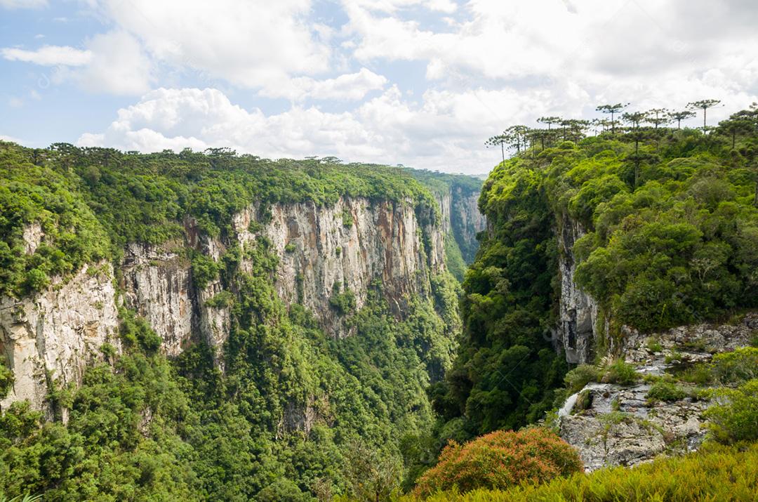 Bela paisagem de Itaimbezinho Canyon e floresta verde, Cambara do Sul, Rio Grande do Sul