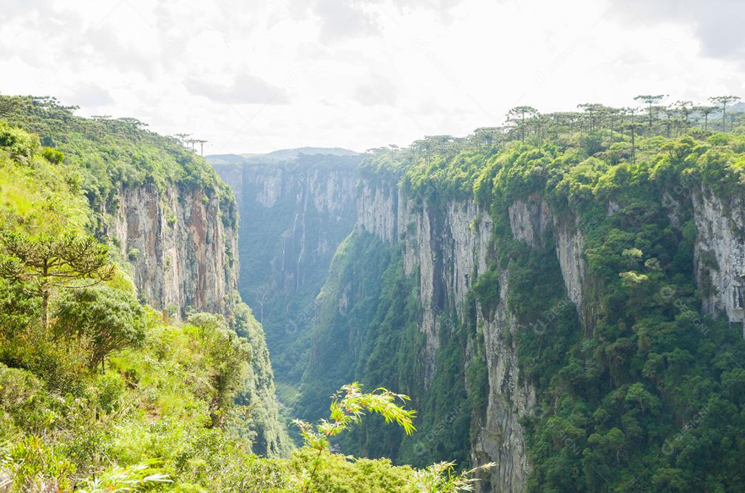 Bela paisagem de Itaimbezinho Canyon e floresta verde, Cambara do Sul, Rio Grande do Sul
