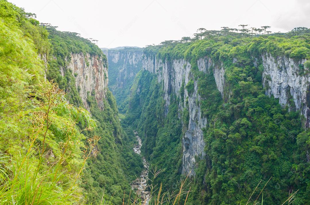 Bela paisagem de Itaimbezinho Canyon e floresta verde, Cambara do Sul, Rio Grande do Sul