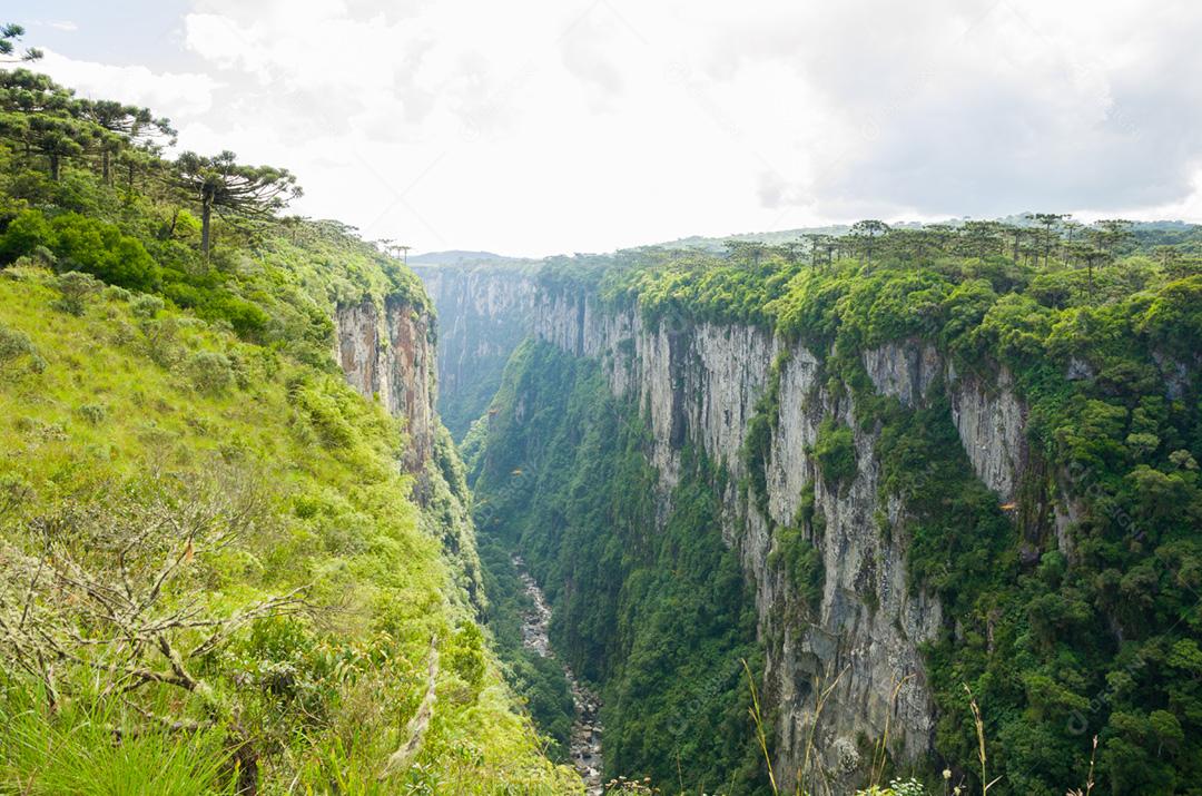 Bela paisagem de Itaimbezinho Canyon e floresta verde, Cambara do Sul, Rio Grande do Sul
