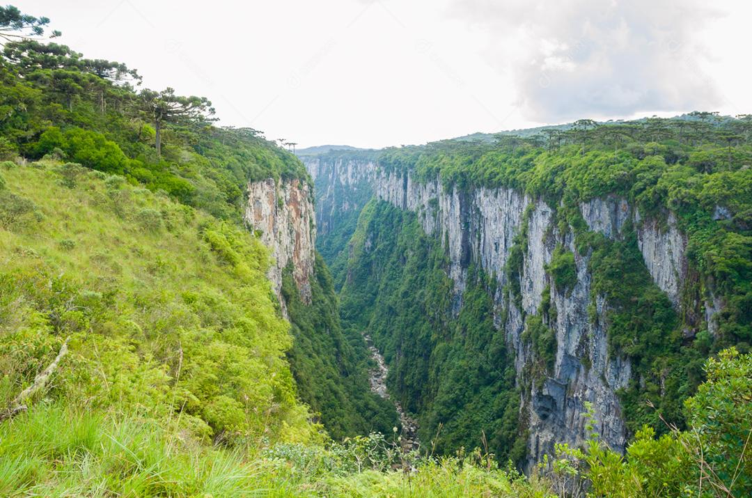 Bela paisagem de Itaimbezinho Canyon e floresta verde, Cambara do Sul, Rio Grande do Sul