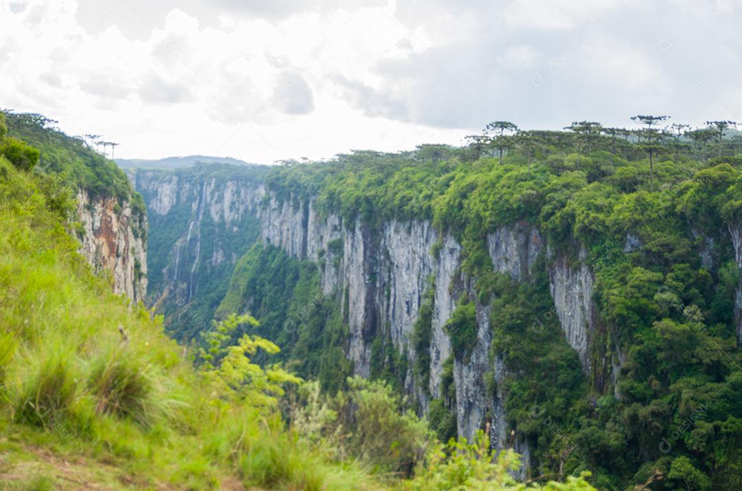 Bela paisagem de Itaimbezinho Canyon e floresta verde, Cambara do Sul, Rio Grande do Sul